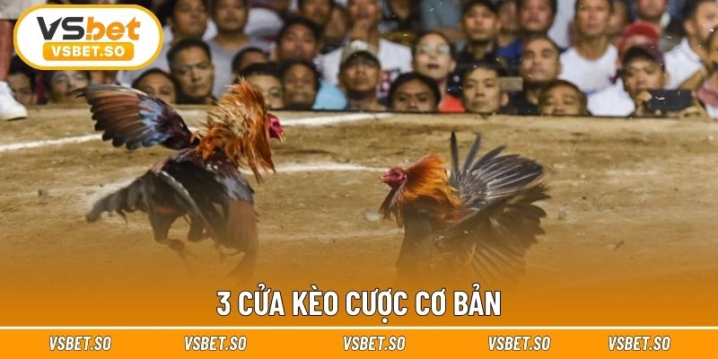 3 cửa kèo cược cơ bản