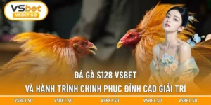 Đá Gà S128 Vsbet Và Hành Trình Chinh Phục Đỉnh Cao Giải Trí