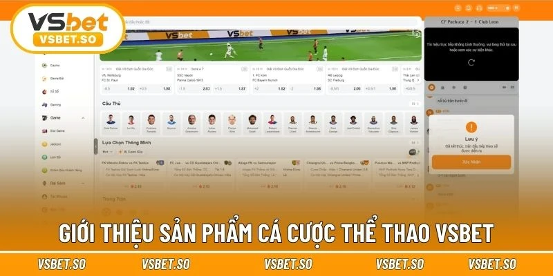 Sơ lược về cá cược thể thao Vsbet