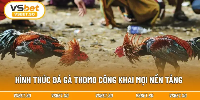 Các hình thức thi đấu giữ được sự kịch tính 