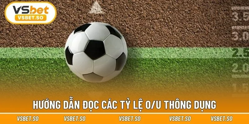 Chia sẻ cách đọc odds Tài Xỉu chuẩn xác