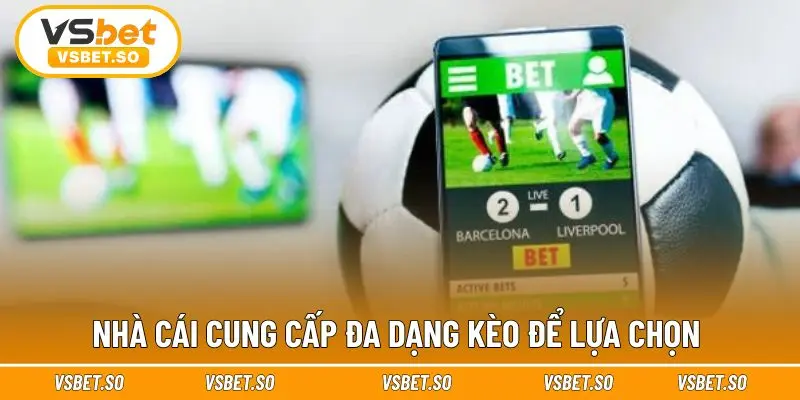 Nhà cái cung cấp đa dạng kèo để lựa chọn 