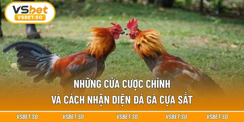Mỗi cửa cược đều có thách thức riêng 