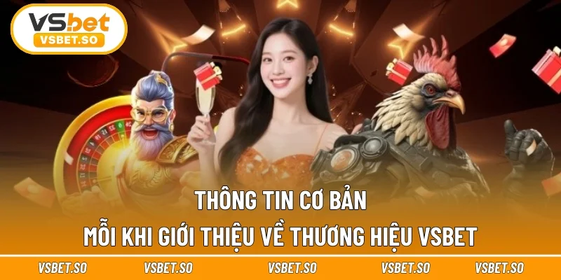 Những thông tin cơ bản mỗi khi giới thiệu Vsbet