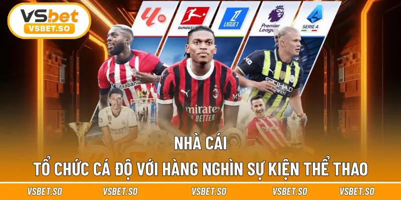 Nhà cái tổ chức cá độ với hàng nghìn sự kiện thể thao